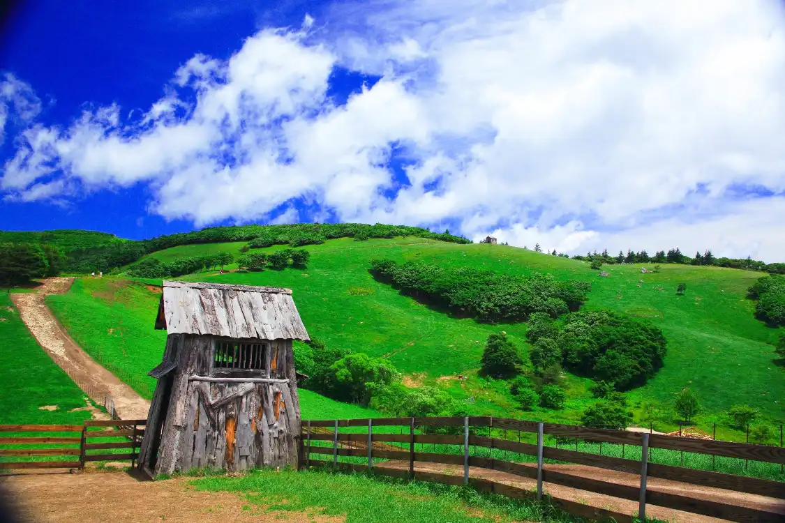 Hotels near Eco Green Campus [Daegwallyeong Samyang Ranch]