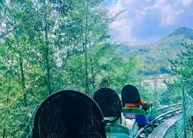 天柱山魔幻森林