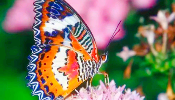 Hudiegu Sceneic Area