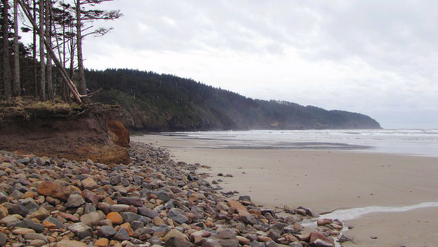 Cape Lookout State Park