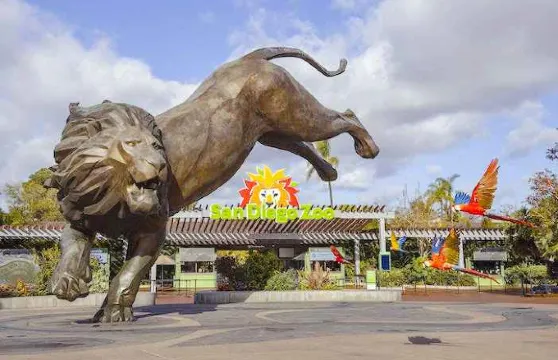 聖地亞哥動物園單日門票小童