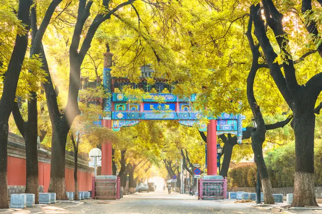 Walking Tours in Beijing