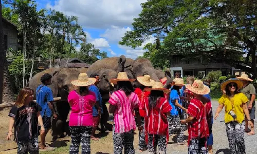 Bangkok Elephant Park