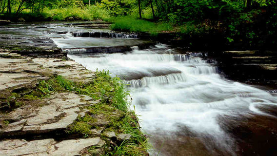 Indian Kill Nature Preserve