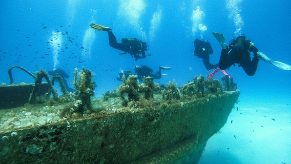 Diving in Malta