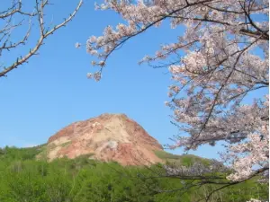 Popular Spring Outings in Usu District