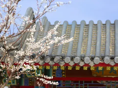 Popular Spring Outings in Cangzhou