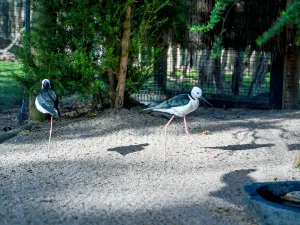 Moonlit Sanctuary Wildlife Conservation Park