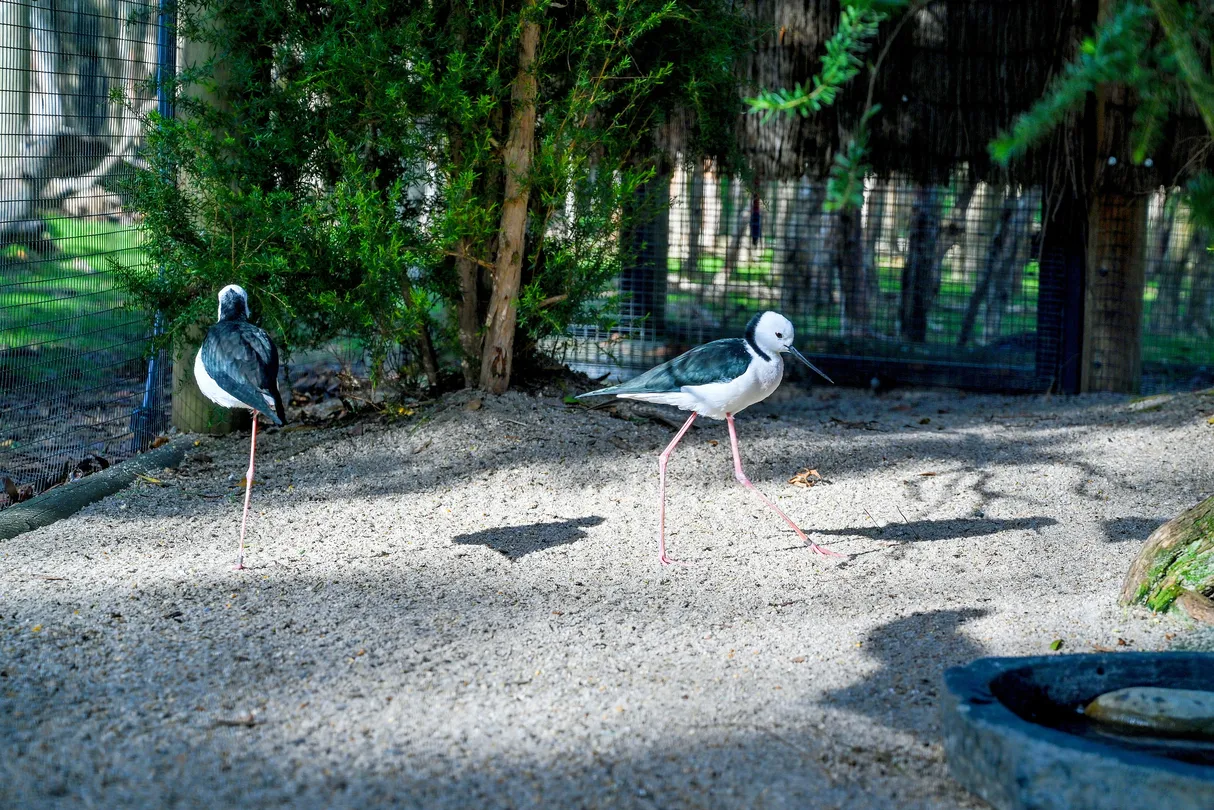 5_月光保護區野生動物保育公園