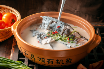 Y Y GUAN NONG JIA CAI