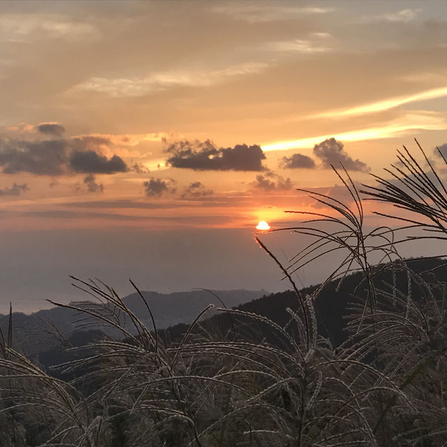 和歌山　関西屈指のススキの名所　