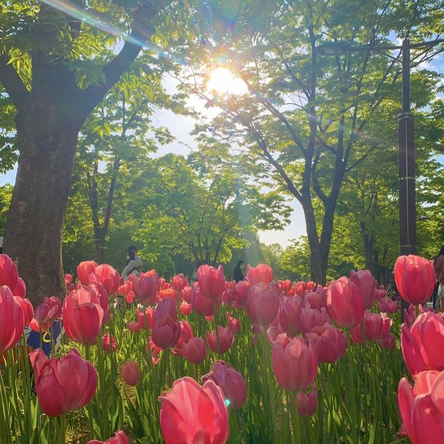 서울숲에서 피크닉 나들이