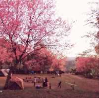 ลานดูดาว​ ท่ามกลางขุนเขา