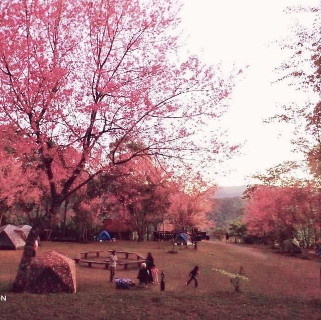 ลานดูดาว​ ท่ามกลางขุนเขา