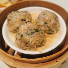 JIN YUE XUAN User Photo