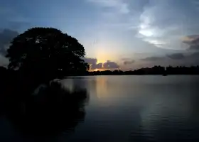 Gui Mountain Wetland Park