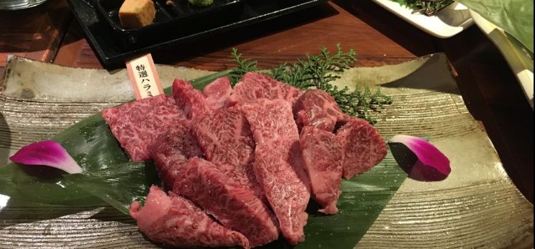 Charcoal cuisine Kobe beef Ikuta