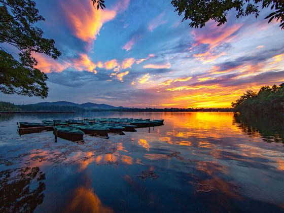 West Lake Cruise