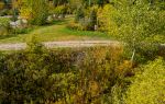 Ginkgo Lake Park