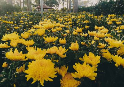 WanZiQianHong Botanical Garden