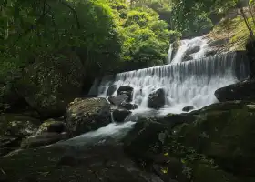 Луна кукурузы