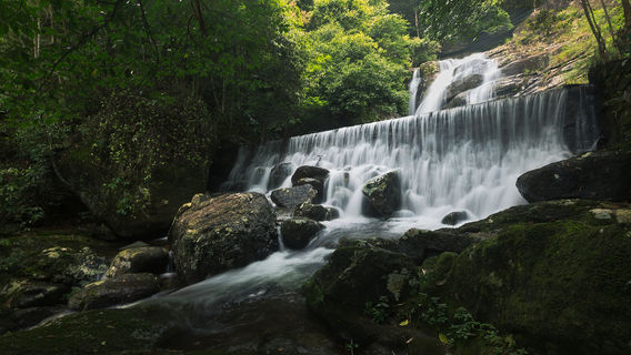 Луна кукурузы