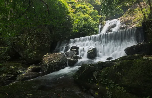 菜溪巖門票成人