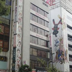 Maidreamin Akihabara Head Store User Photo