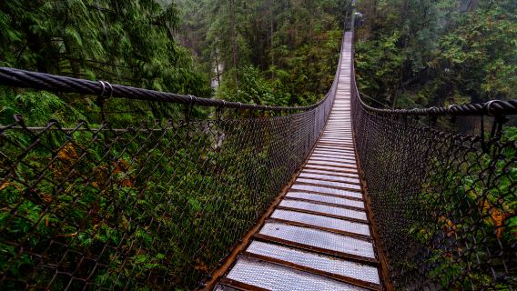 【包車】溫哥華+卡皮拉諾吊橋公園+史丹利公園+獅門大橋一日遊