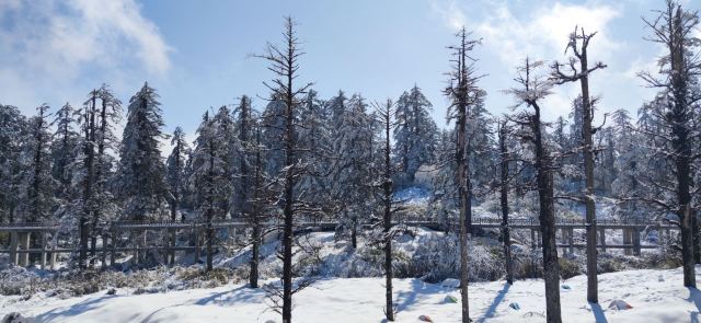 Wawushan Mountain Area