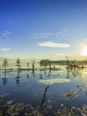 Парк водно-болотных угодий в Хуэйхэй