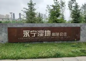 永寧濕地科普公園