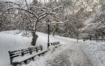 Fort Tryon Park