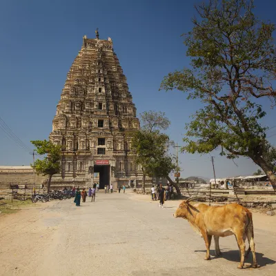 Vé máy bay giá rẻ của Air Transat đi Ranchi