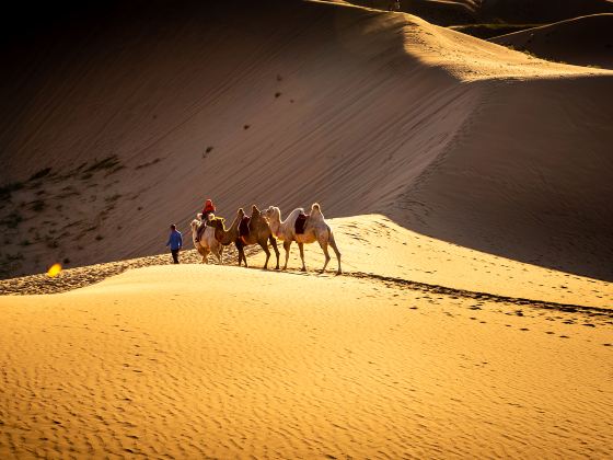 Kumtag Desert