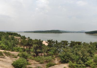 Biyang Tongshan Scenic Area