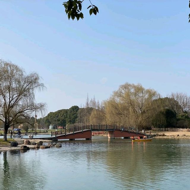 Oriental Land, Shanghai
