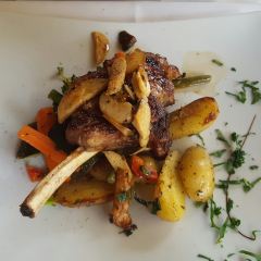 Alexis Zorbas User Photo