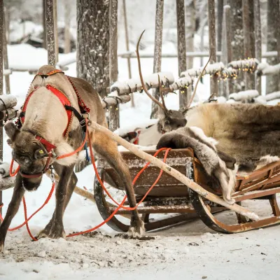 Aurora Village Ivalo Bewertungen