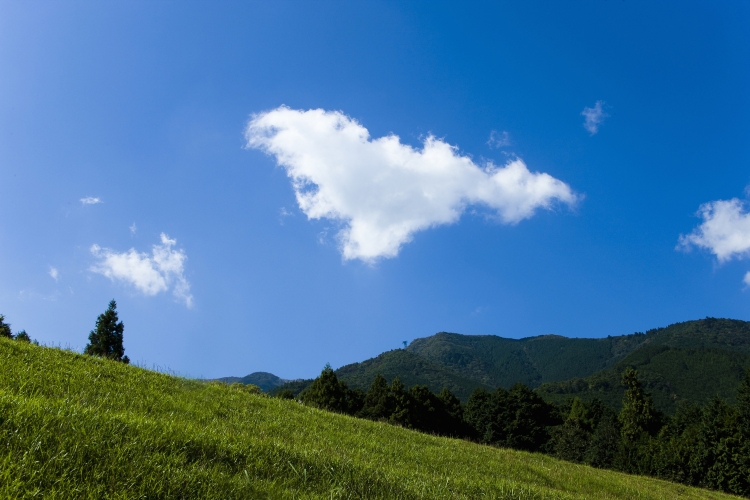 Compare 5 airports near Oyama
