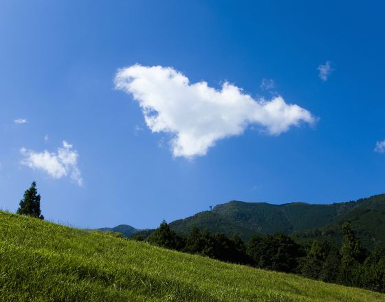 小山市 自由行套票