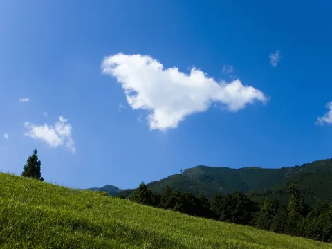 小山市