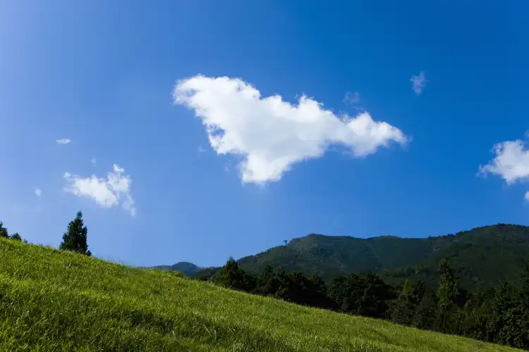 小山市