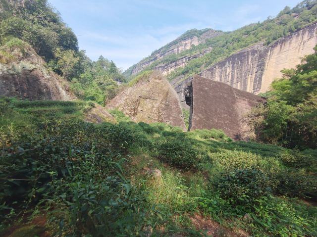 일선천