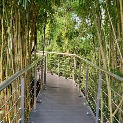 The Voyage of Pujiang User Photo