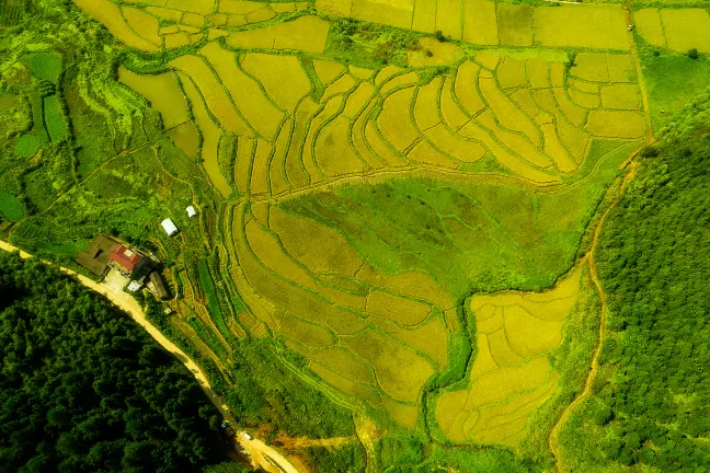 Linyue Suixi Bianya Juju Homestay (Wangxiangu Scenic Area)