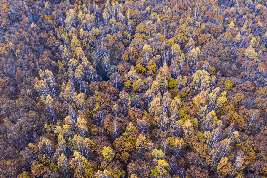 Fengmi Mountain