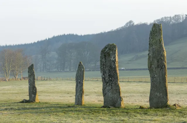 Hotels near Bute Museum