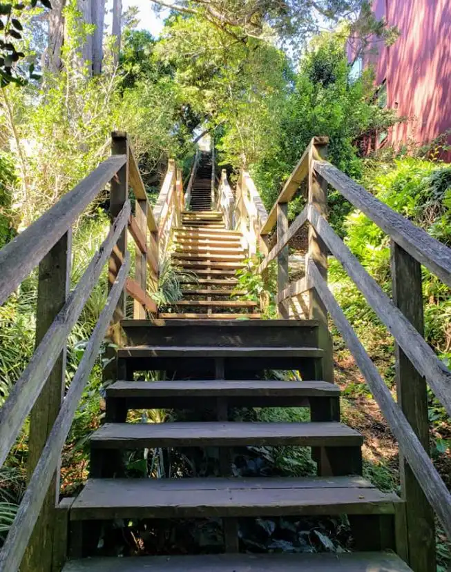 Harry street stairs