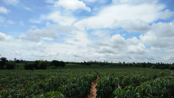 Si Suriyothai Circle (Sa Kaeo)